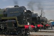 Steam Lineup At Carnforth July 08